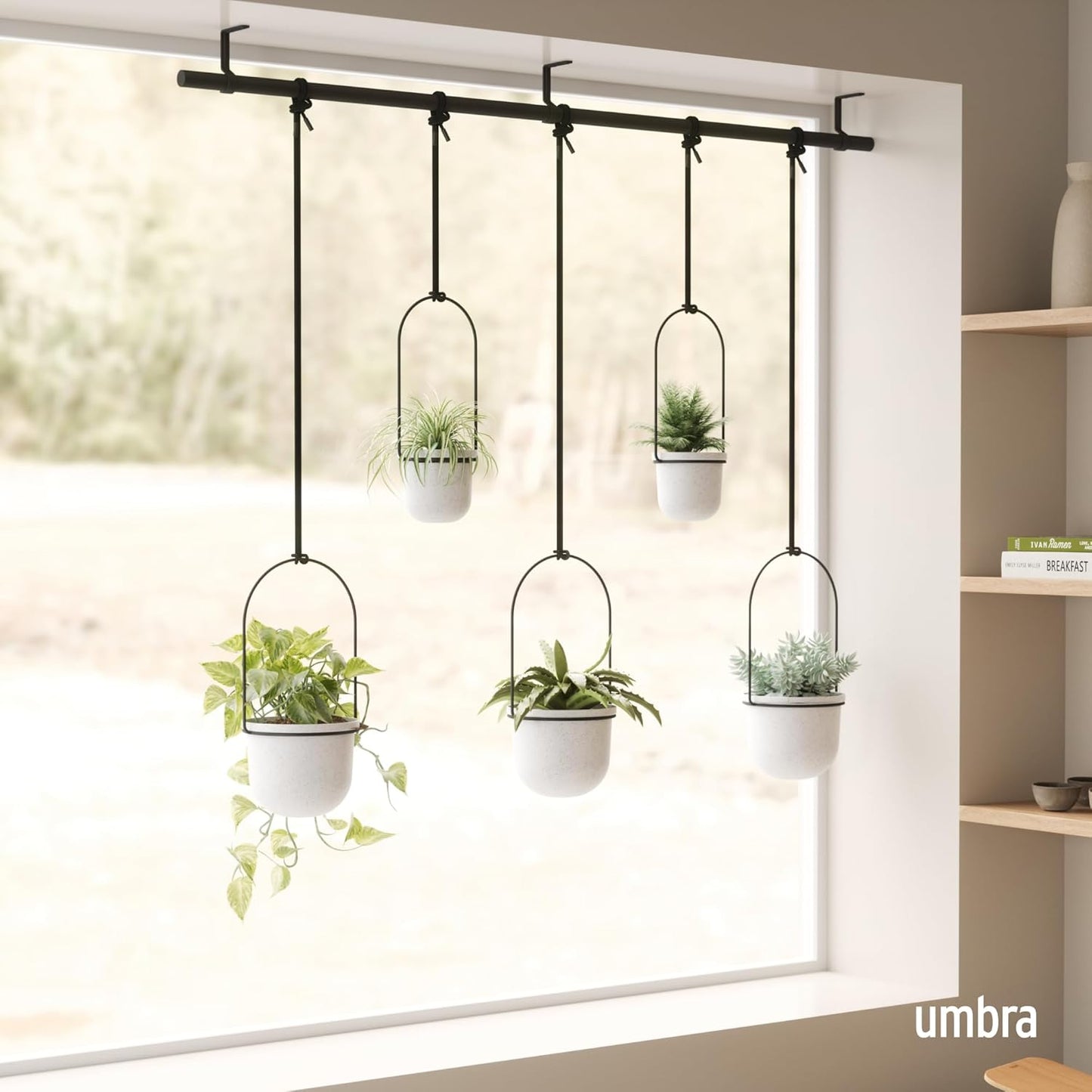 Umbra Triflora Hanging Planter for Window, Indoor Herb Garden, Set of 3, White/Black