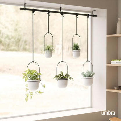 Umbra Triflora Hanging Planter for Window, Indoor Herb Garden, Set of 3, White/Black