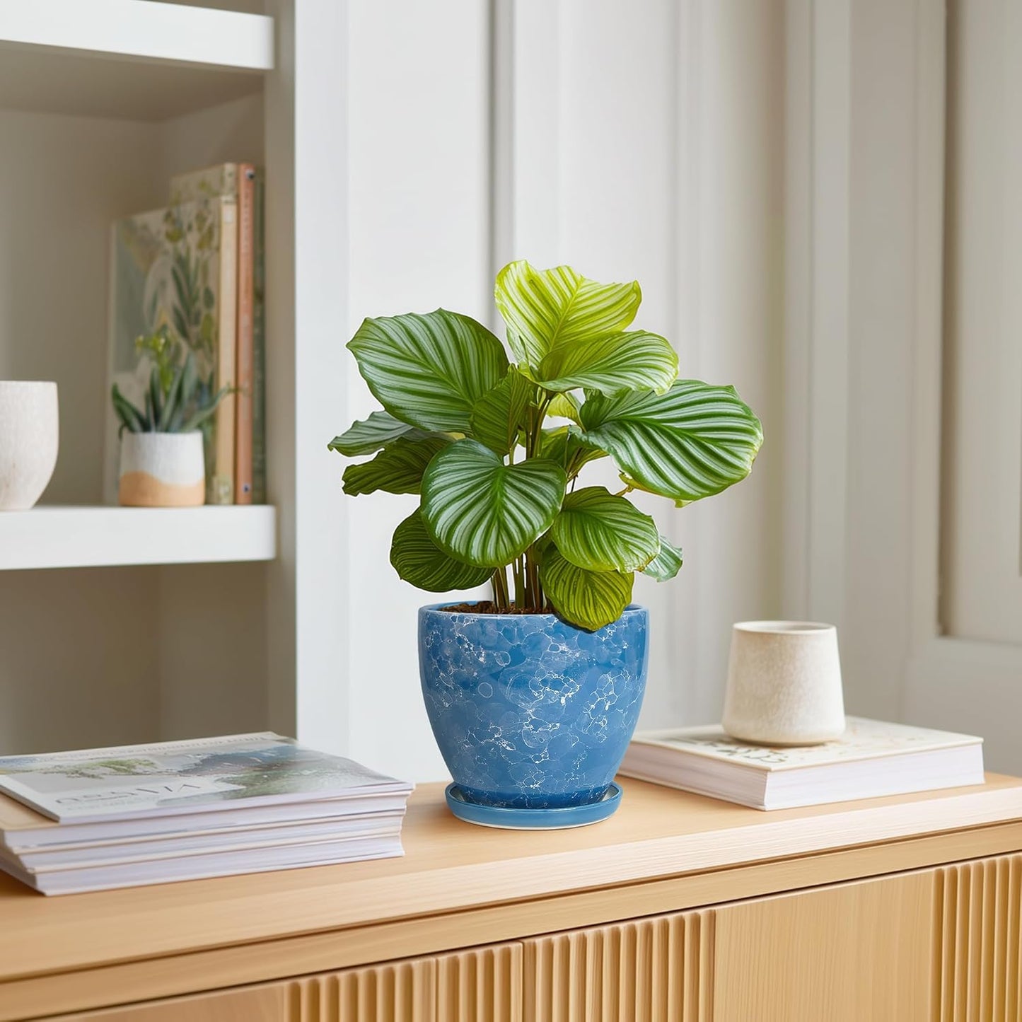 10 Inch Ceramic Planter Pot Round Plant Pot for Indoor Plants Outdoor Large Flower Pot with Drainage Hole and Saucer Blue