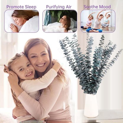 Tavkite 16 Pcs Dried Eucalyptus Stems, 17'' Natural Fresh Eucalyptus Leaves Branches Hanging for Shower, Preserved Real Plant Live Greenery for Home SPA Wall Bathroom Wedding Party Vase Decor