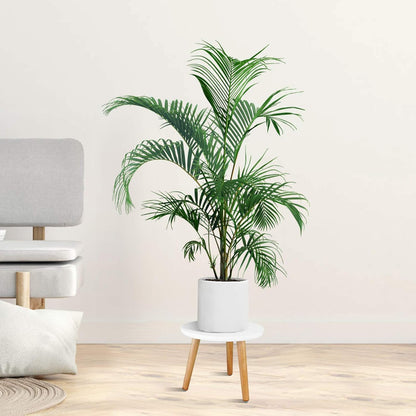 Uneedem Wood Mid Century Plant Stand for Indoor Plants, Modern Table, Tall Holder for Flower Pots, Small Round Side/End Table(A2 White, High: 16.5")