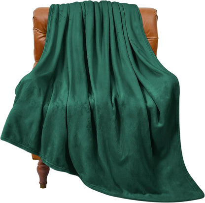 BEDELITE Fleece Blanket Black Throw Blankets for Couch & Bed, Luxury Plush Cozy Fuzzy Blanket 50x60 inches, Super Soft Warm Lightweight Throw Blanket for Travel Camping - Colors A