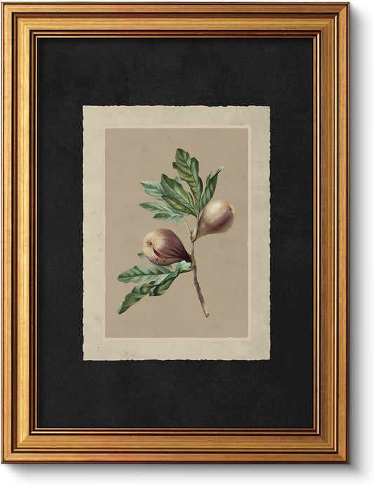 VIYYIEA Vintage Botanical Sketch Rustic Farmhouse Wall Art Decor for Living Room Bedroom Study, Aesthetic Classical Oak Tree Illustration Pictures,12x16inch,Gold Framed Canvas Prints Paintings
