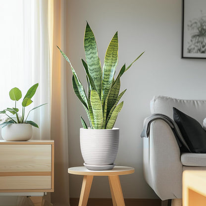 Ceramic Pots for Plants - 6 Inch Plant Pot with Drainage Hole and Saucer, Round Planters for Indoor Outdoor, Flower Pots, Modern Planter, Home Office Room Decor, Gifts for Plant Lovers, White