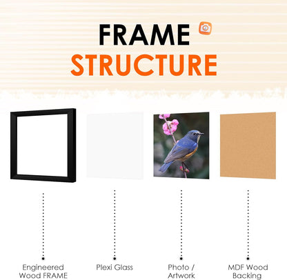 FIXSMITH 8x10 Picture Frame Set of 2, Photo Frame with HD Plexiglass, Display Pictures 5x7 with Mat or 8x10 Without Mat Multi Picture Frames Collage for Tabletop or Wall Display, Black