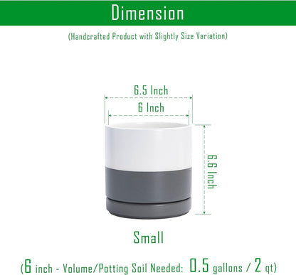 D'vine Dev Set of 2 Plants Pots, 6.5 Inch Ceramic Planter Pot for Plants with Drainage Hole and Saucer, White, 94-V-C-1