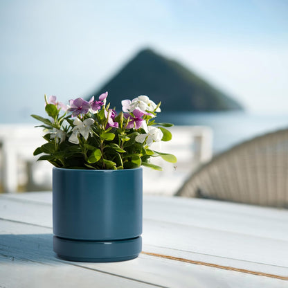 D'vine Dev 6.5 Inch Ceramic Planter Pot with Drainage Hole and Saucer, Indoor Cylinder Round Planter Pot, Olive, 94-O-C-J