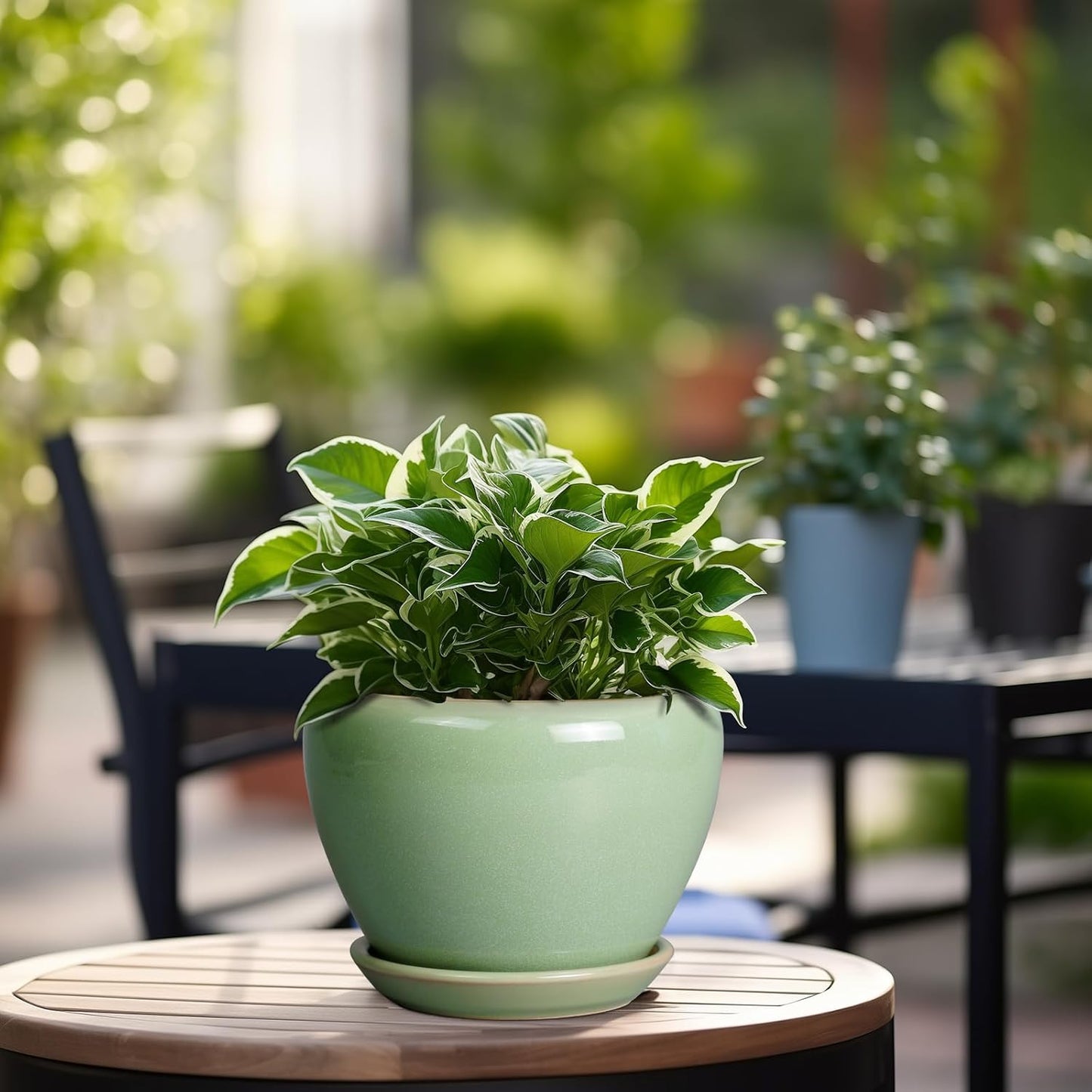 Ceramic Modern Glaze Succulent Planter Pot with Drainage Hole and Saucer 6 Inch Round Flower Plant Pot for Indoor Outdoor Herb Snake Plants