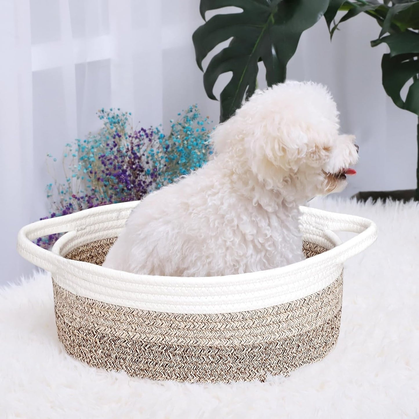 ABenkle Small Basket with Handles, Boho Decorative Rope Woven Dog Cat Toy Storage Bin Shelf Storage Organizer, Easter Christmas Gift Basket, 12"x8"x5", White