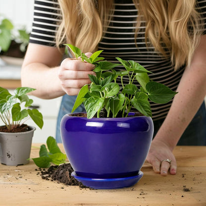 Ceramic Modern Glaze Succulent Planter Pot with Drainage Hole and Saucer 6 Inch Round Flower Plant Pot for Indoor Outdoor Herb Snake Plants