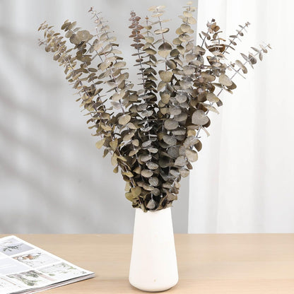 Tavkite 16 Pcs Dried Eucalyptus Stems, 17'' Natural Fresh Eucalyptus Leaves Branches Hanging for Shower, Preserved Real Plant Live Greenery for Home SPA Wall Bathroom Wedding Party Vase Decor
