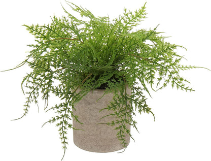 Briful Small Fake Plant Potted Plants Artificial Decor Plastic Asparagus Ferns Plant Faux Plants in Pots for Home Living Room Bedroom Desk Shelf Farmhouse Decoration