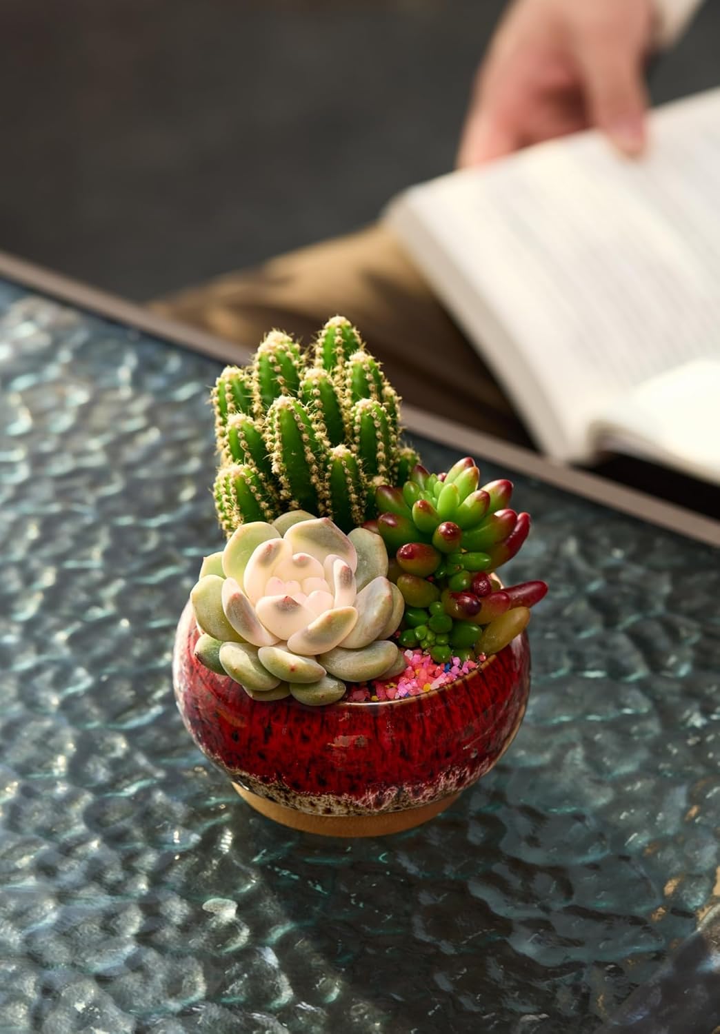 Cute Ceramic Succulent Garden Pots, Planter with Drainage and Attached Saucer, Set of 5 -Plants Not Included (Round)