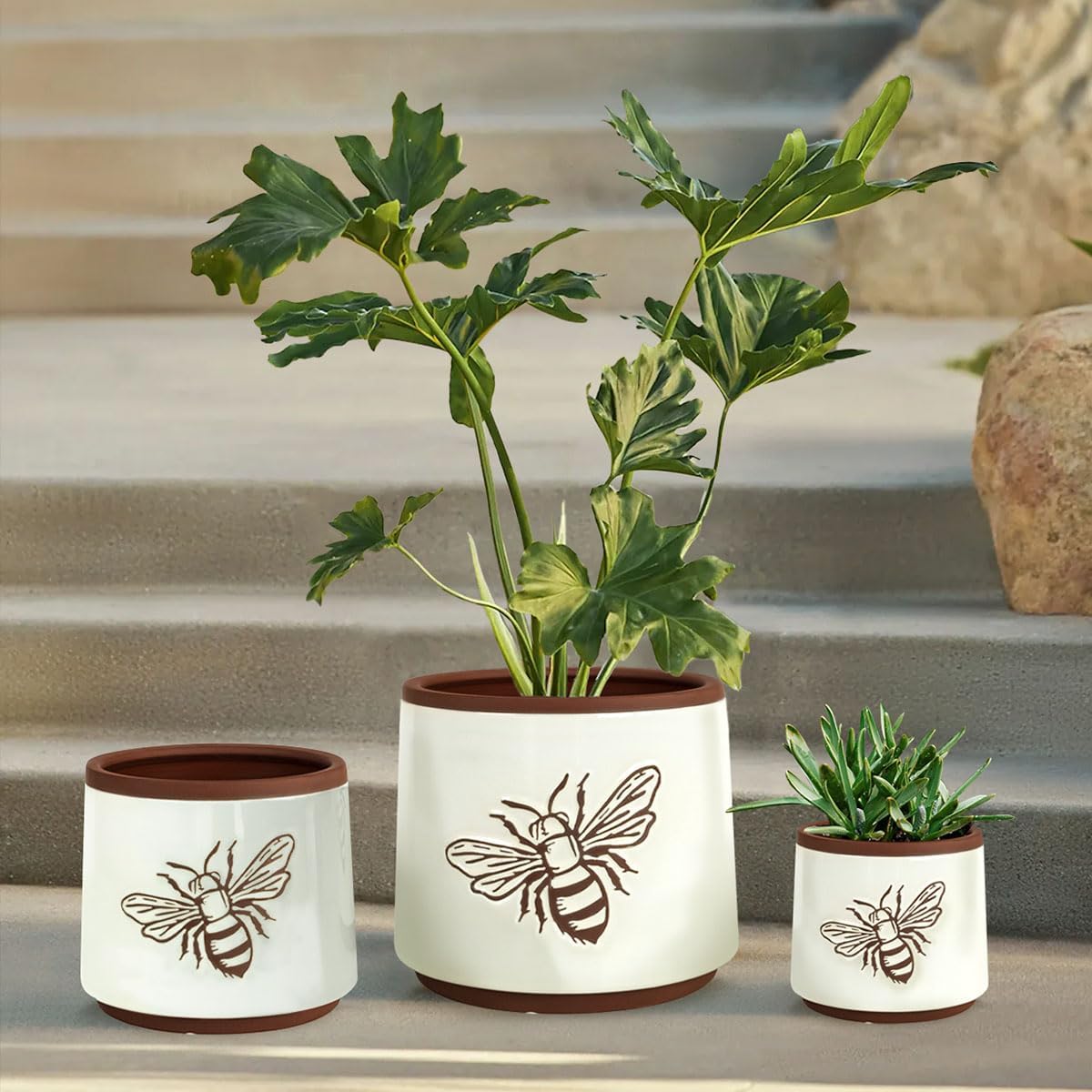 YBX 8 Inch + 6 Inch Ceramic Plant Pots, Succulent Flower Pots with Drainage Holes, Terracotta Planters for Indoor Plants, White&Terracotta (Garden)