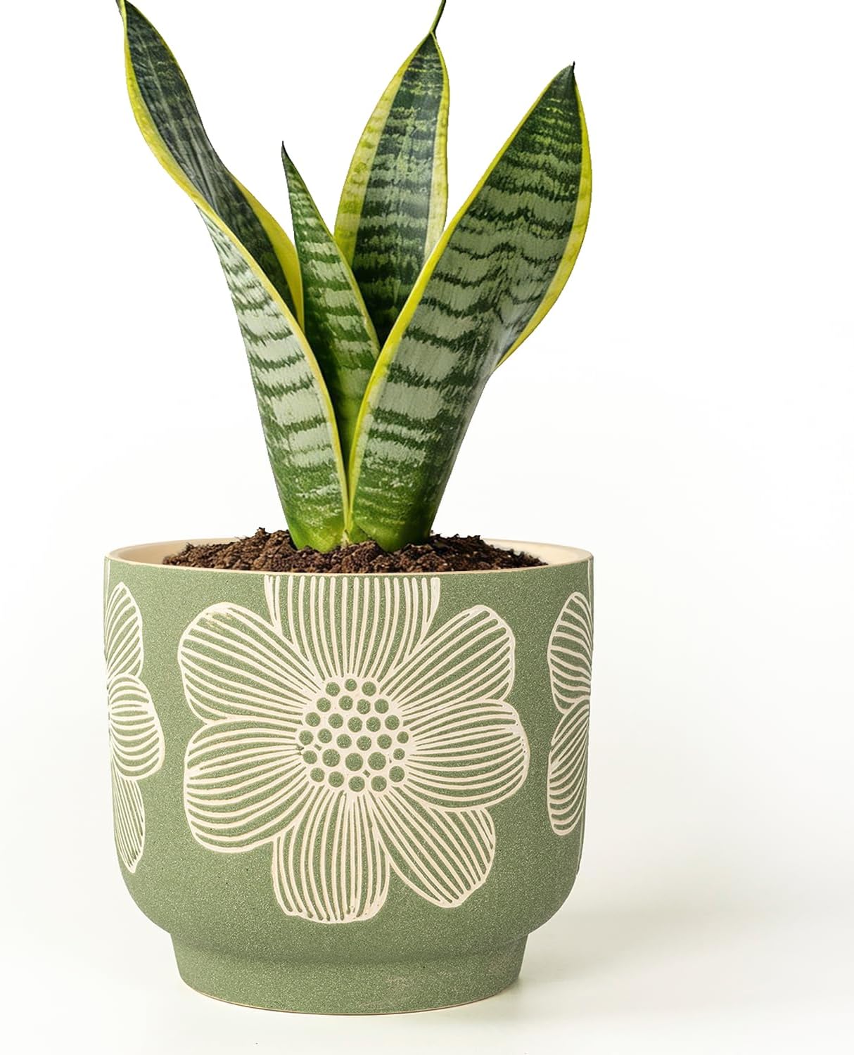 YBX 8 Inch + 6 Inch Ceramic Plant Pots, Succulent Flower Pots with Drainage Holes, Terracotta Planters for Indoor Plants, White&Terracotta (Garden)