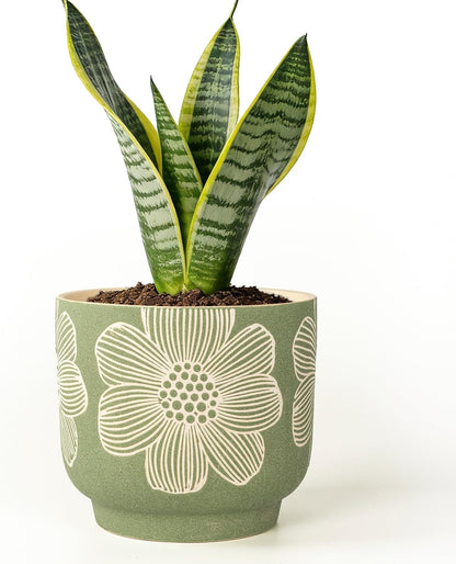 YBX 8 Inch + 6 Inch Ceramic Plant Pots, Succulent Flower Pots with Drainage Holes, Terracotta Planters for Indoor Plants, White&Terracotta (Garden)