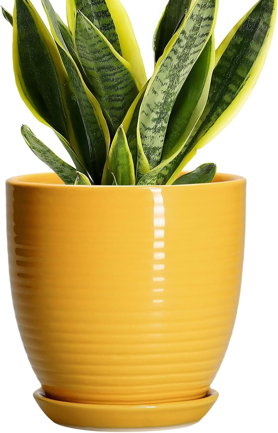 Ceramic Pots for Plants - 6 Inch Plant Pot with Drainage Hole and Saucer, Round Planters for Indoor Outdoor, Flower Pots, Modern Planter, Home Office Room Decor, Gifts for Plant Lovers, White
