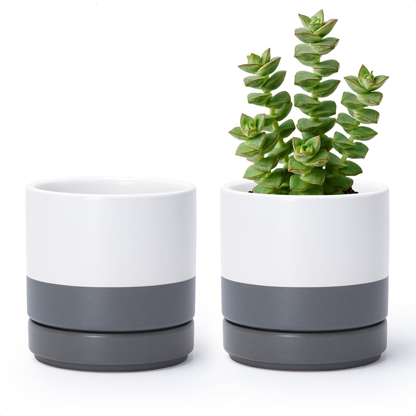 D'vine Dev Set of 2 Plants Pots, 6.5 Inch Ceramic Planter Pot for Plants with Drainage Hole and Saucer, White, 94-V-C-1