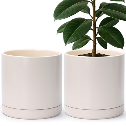 D'vine Dev Set of 2 Plants Pots, 6.5 Inch Ceramic Planter Pot for Plants with Drainage Hole and Saucer, White, 94-V-C-1