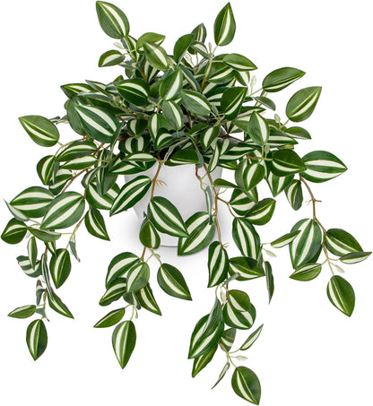 Briful Artificial Plants Indoor Fake Potted Silk Plants Faux Watermelon Peperomia Draping Plant for Home Office Bathroom Shelf Cabinet Tabletop Decoration(Green - 1 Pack)