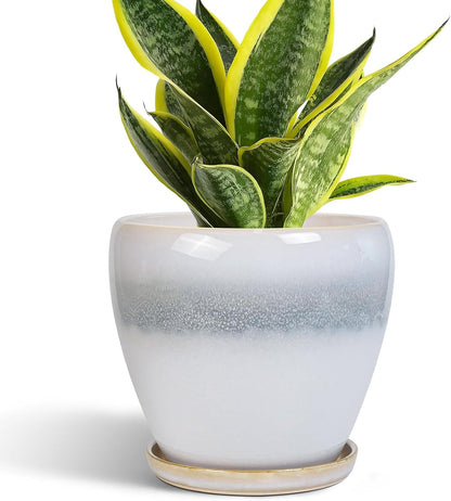 10 Inch Ceramic Planter Pot Round Plant Pot for Indoor Plants Outdoor Large Flower Pot with Drainage Hole and Saucer Blue