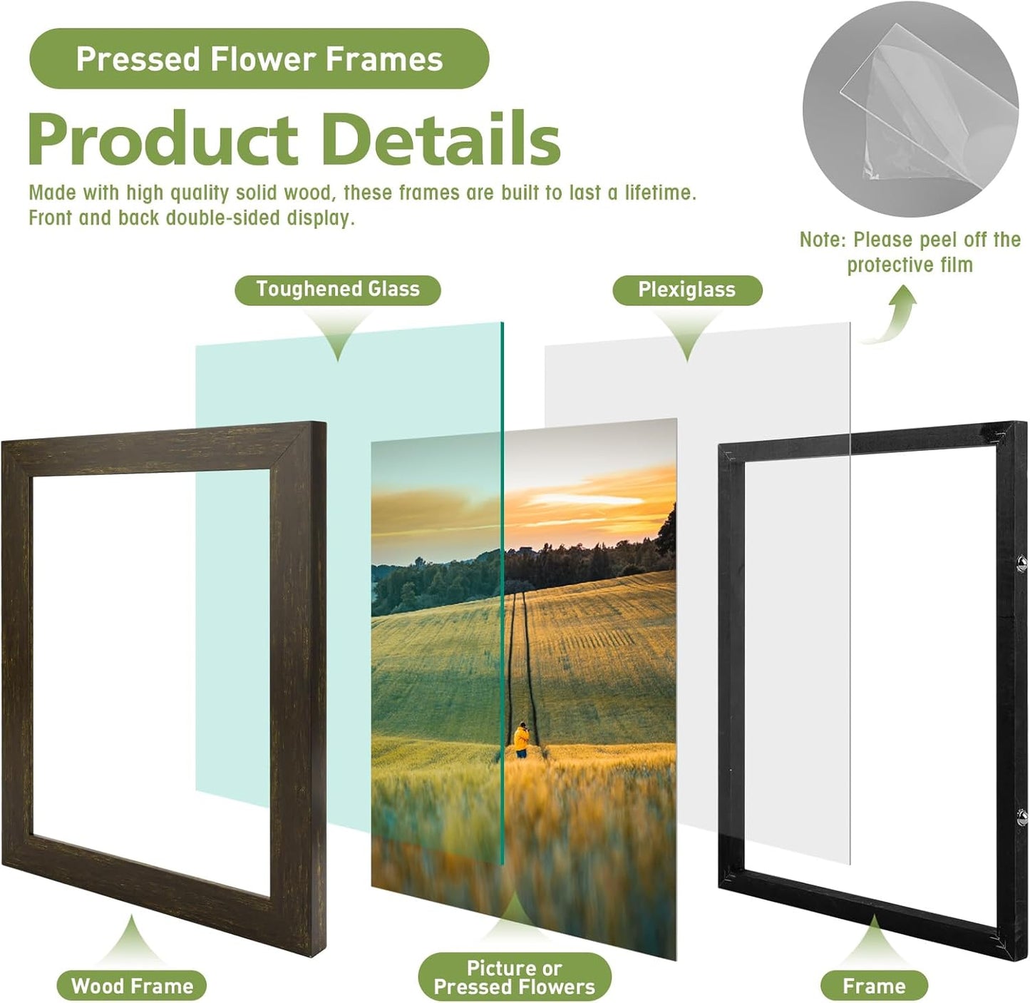 Golden State Art, 11X14 Floating Picture Frame, Black Wood Frame Display Any Size Photo Up To 11X14, Pressed Flower Frames with Hanging Hardware - Horizontal And Vertical Formats for Wall