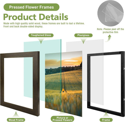 Golden State Art, 11X14 Floating Picture Frame, Black Wood Frame Display Any Size Photo Up To 11X14, Pressed Flower Frames with Hanging Hardware - Horizontal And Vertical Formats for Wall