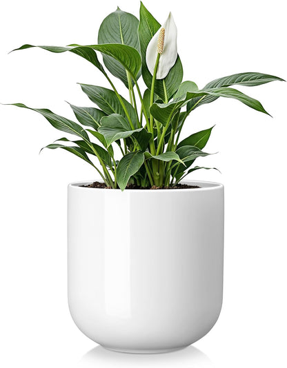 vancasso Ceramic Plant Pots, 4+5+6 inches, Set of 3, Planters with Drainage Hole, Flower Pots Planters Pots for Indoor Plants, Modern Indoor Decorative Garden Pot, Home Decor, White