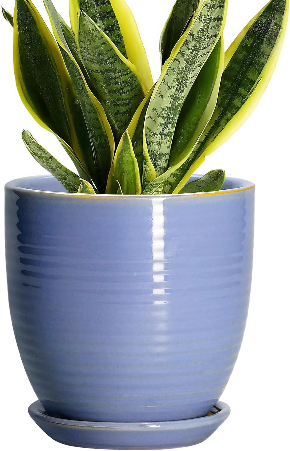 Ceramic Pots for Plants - 6 Inch Plant Pot with Drainage Hole and Saucer, Round Planters for Indoor Outdoor, Flower Pots, Modern Planter, Home Office Room Decor, Gifts for Plant Lovers, White