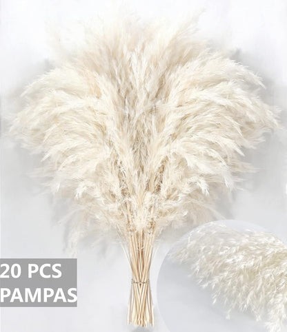 Pampas Grass Decor, Natural Dry Pampas Grass Small, Short Pampass Bulk for Farmhouse, Wall, Kitchen, Bedroom Decor, Office Decor (17 inch )