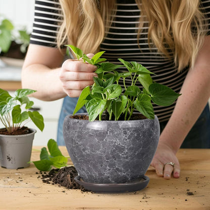 Ceramic Modern Glaze Succulent Planter Pot with Drainage Hole and Saucer 6 Inch Round Flower Plant Pot for Indoor Outdoor Herb Snake Plants