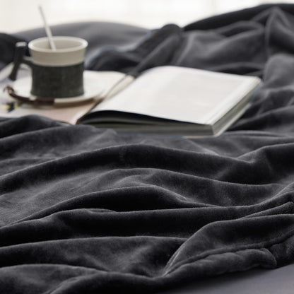 Bedsure GentleSoft Fleece Throw Blanket for Couch Grey - Lightweight Plush Fuzzy Cozy Soft Blankets and Throws for Sofa, Couch, Travel, Camping, 50x60 inches - Colors A