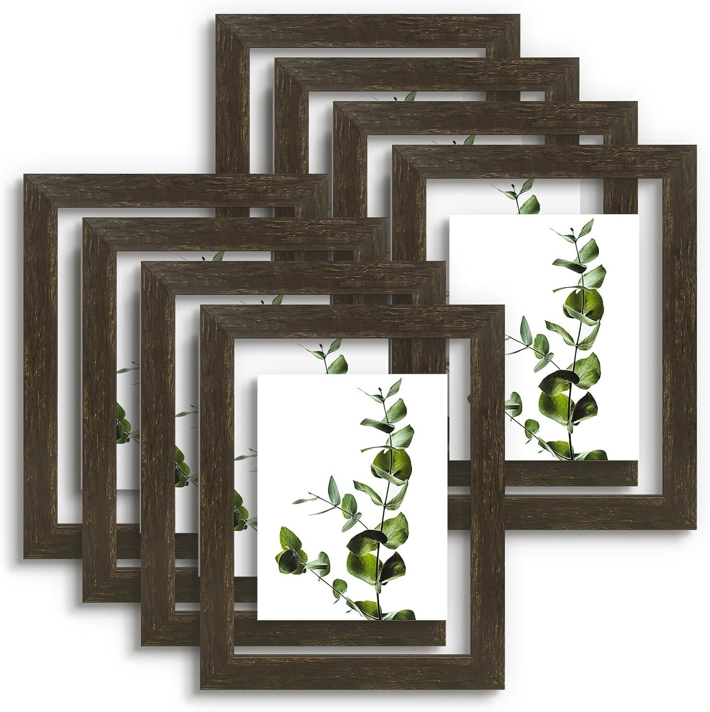 Golden State Art, 11X14 Floating Picture Frame, Black Wood Frame Display Any Size Photo Up To 11X14, Pressed Flower Frames with Hanging Hardware - Horizontal And Vertical Formats for Wall