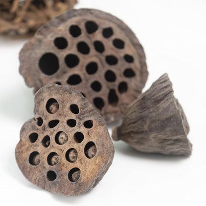 ANDALUCA Natural Tones Vase & Bowl Filler Decorative Balls (Natural Orbs)