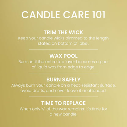 Yankee Candle Sage & Citrus, Scented Candle, 22oz Large Jar with up to 150 Hour Burn Time, Giftable, Birthdays