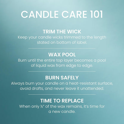 Yankee Candle Balsam & Cedar, Scented Candle, 22oz Large Jar with up to 150 Hour Burn Time, Giftable