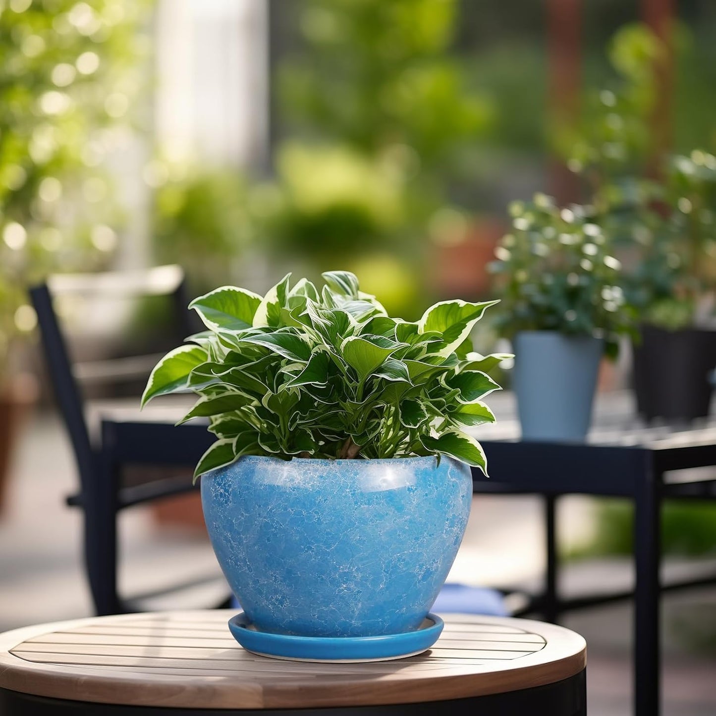 Ceramic Modern Glaze Succulent Planter Pot with Drainage Hole and Saucer 6 Inch Round Flower Plant Pot for Indoor Outdoor Herb Snake Plants