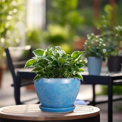 Ceramic Modern Glaze Succulent Planter Pot with Drainage Hole and Saucer 6 Inch Round Flower Plant Pot for Indoor Outdoor Herb Snake Plants