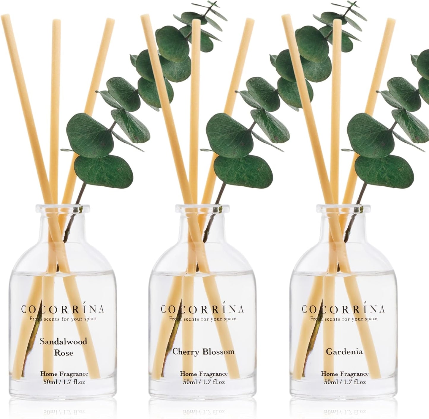 COCORRÍNA Eucalyptus Reed Diffuser Set of 3 - Lavender Eucalyptus, Black Forest, Clean Cotton Scents, 1.7 fl oz Each, Total 5.1 oz, Scented Oil Diffusers for Home & Office﻿