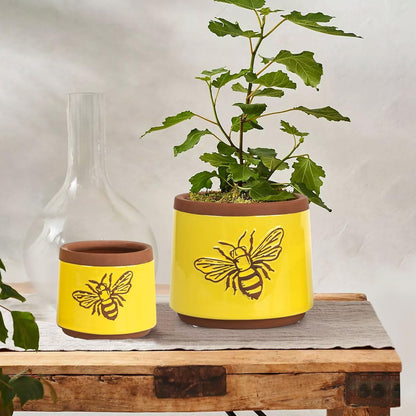 YBX 8 Inch + 6 Inch Ceramic Plant Pots, Succulent Flower Pots with Drainage Holes, Terracotta Planters for Indoor Plants, White&Terracotta (Garden)