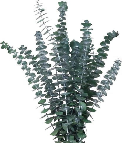 12PCS Dried Eucalyptus Bundle 17'' Real Eucalyptus Stems 100% Natural Fresh Leaves Hanging Plants Greenery Stems for Shower Home Decor Flower Arrangement Wedding