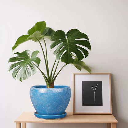 Ceramic Modern Glaze Succulent Planter Pot with Drainage Hole and Saucer 6 Inch Round Flower Plant Pot for Indoor Outdoor Herb Snake Plants
