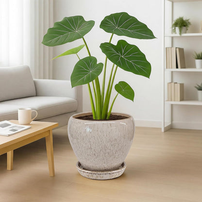 Deep Dream 6 Inch Plant Pots- Ceramic Planter Pot with Drainage Hole and Saucer, Round Flower Pot for Indoor Outdoor Succulent, Snake Plants and Cactus, Blue