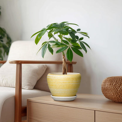 6 Inch Plant Pot - Ceramic Pots for Plants with Drainage Hole and Saucer, Round Succulent Planter Indoor Outdoor, Modern Flower Pot for Snake Plants, Home Decor, Gifts for Plant Lover, Blue