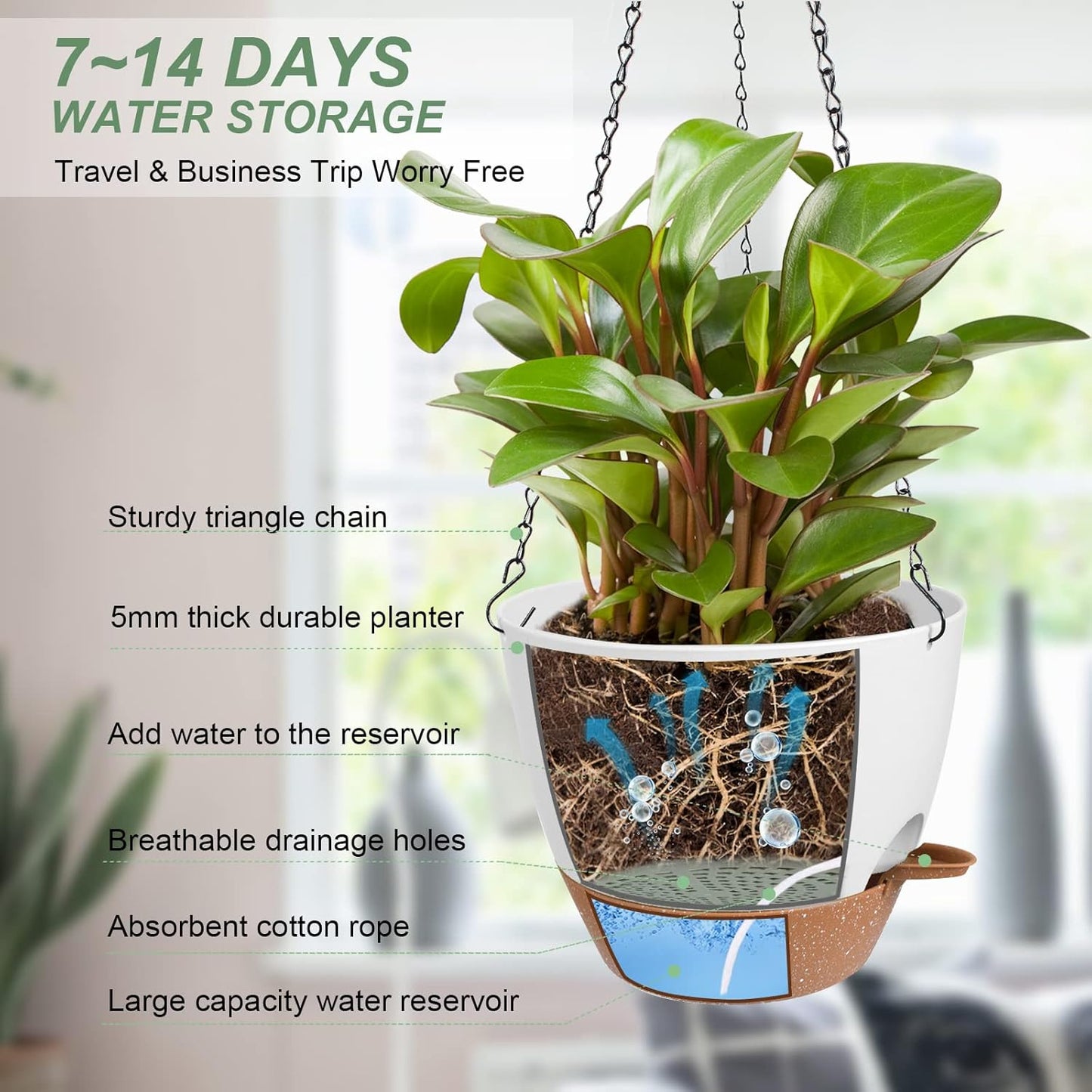 Vanslogreen Hanging Planters for Indoor Outdoor Plants, 2 Pack Self Watering Hanging Pot with Drainage Holes & Removable Tray (Black, 8'')