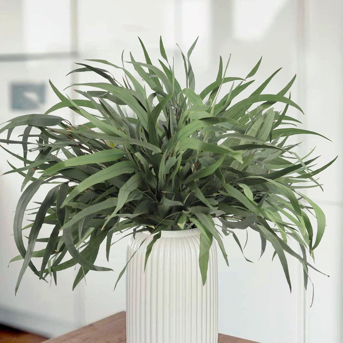 Real Eucalyptus Stems 20PCS Dried Preserved Fresh Eucalyptus Silver Dollar Leaves for Shower - Greenery Branches for Wedding Home Party Vase Filler Spring Decor