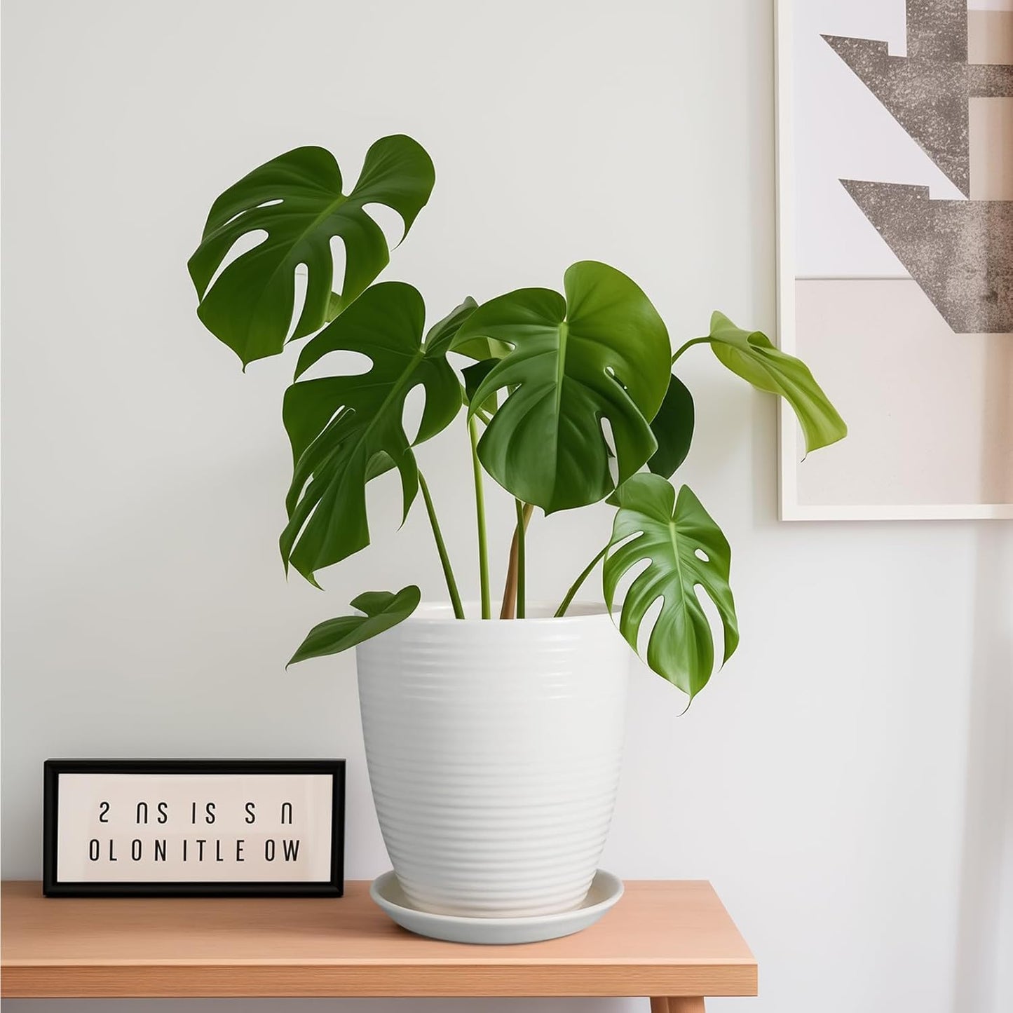 Ceramic Pots for Plants - 6 Inch Plant Pot with Drainage Hole and Saucer, Round Planters for Indoor Outdoor, Flower Pots, Modern Planter, Home Office Room Decor, Gifts for Plant Lovers, White