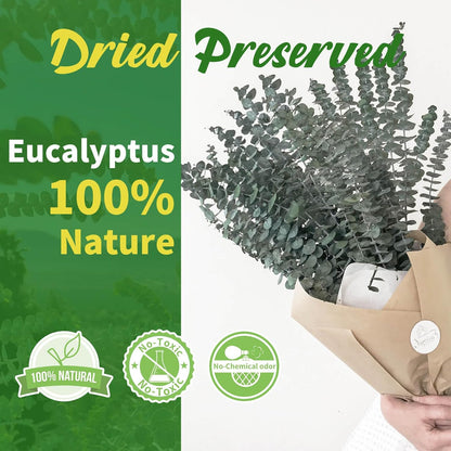 11 PCS Real Dried Eucalyptus Stem for Shower & Bathroom Decor - 17'' Large Natural Fresh Eucalyptus Leaves Hanging Plants, Shower Stuff Green Home Vase Decor, DIY
