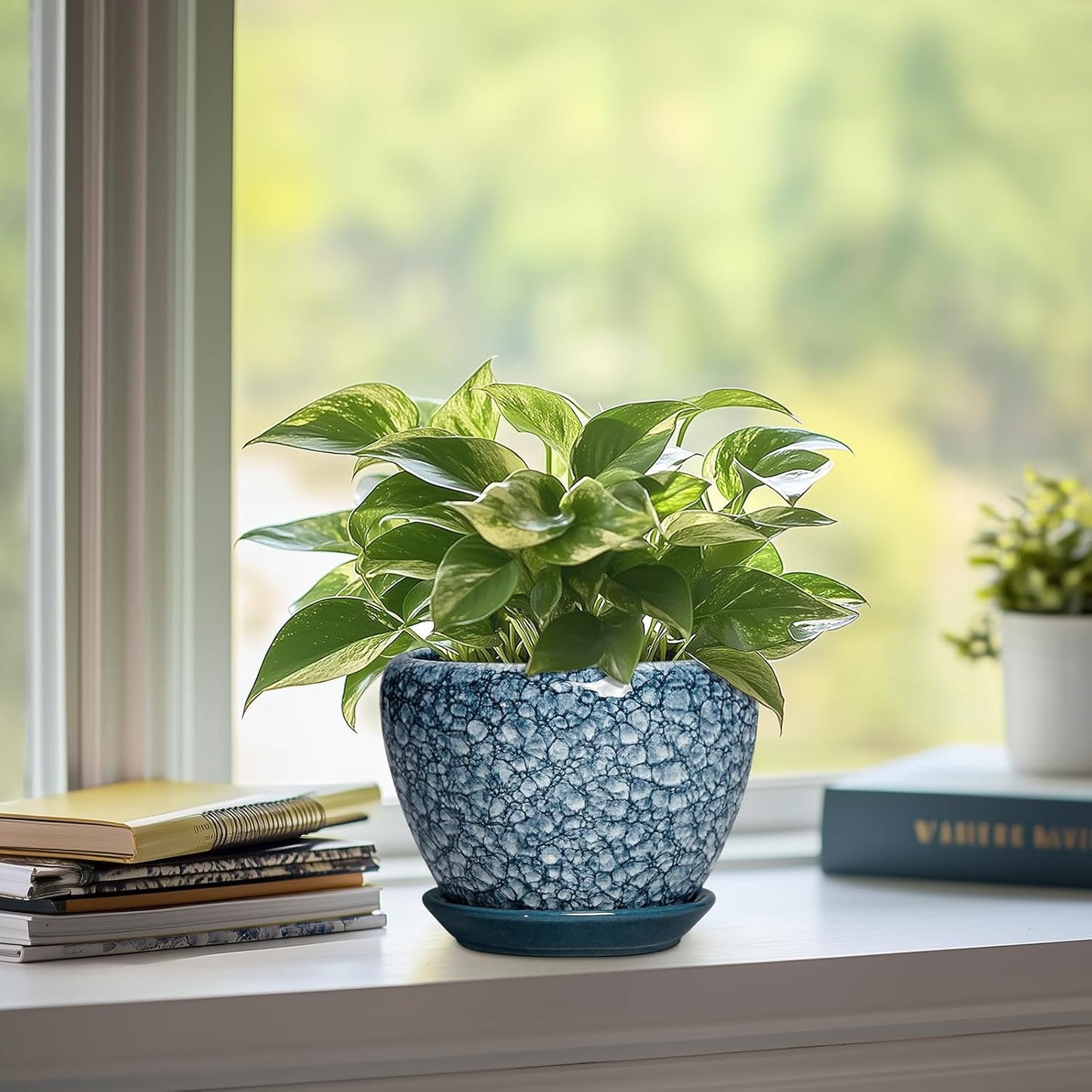 6 Inch Plant Pot - Ceramic Pots for Plants with Drainage Hole and Saucer, Round Succulent Planter Indoor Outdoor, Modern Flower Pot for Snake Plants, Home Decor, Gifts for Plant Lover, Blue
