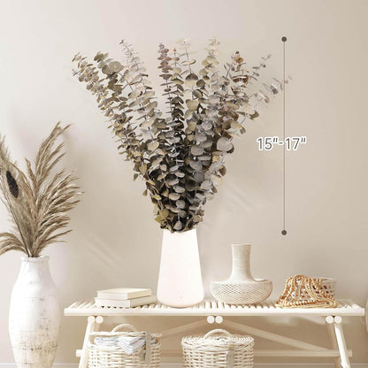 Tavkite 16 Pcs Dried Eucalyptus Stems, 17'' Natural Fresh Eucalyptus Leaves Branches Hanging for Shower, Preserved Real Plant Live Greenery for Home SPA Wall Bathroom Wedding Party Vase Decor